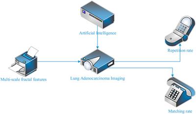 Relationship between the image characteristics of artificial intelligence and EGFR gene mutation in lung adenocarcinoma